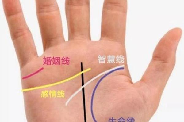 揭秘手相中的爱情辅助线：掌握幸福密码，让爱情如影随形