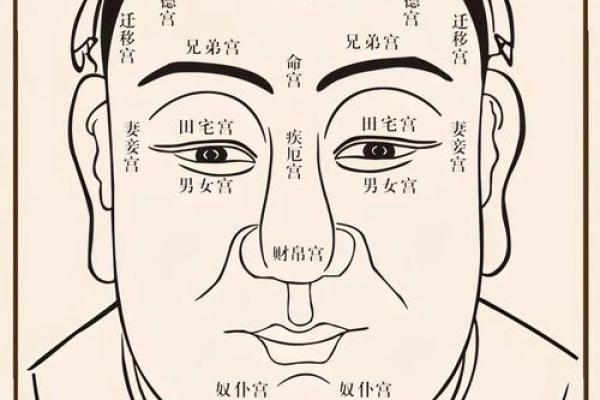 月牙眼揭秘：运势佳、魅力足，揭秘你的面相天赋