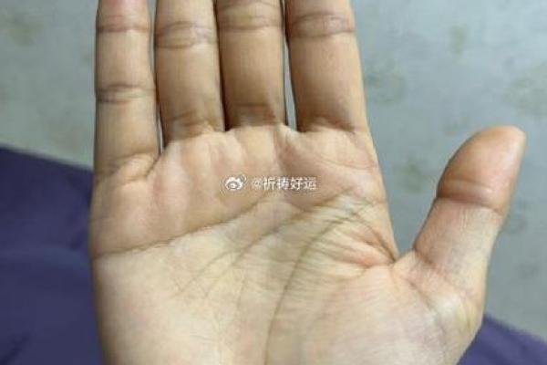 揭秘命运之手：手相中的命运密码