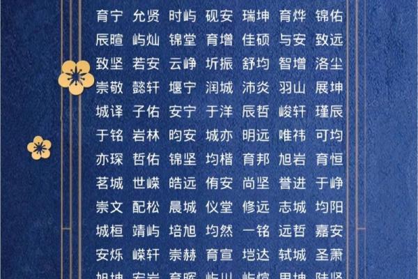 提升五行火运的男孩名字
