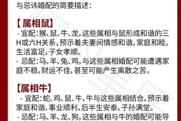 十二生肖完美婚配指南，破解相克密码