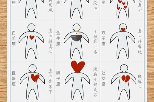 十二星座坐标大揭秘：你的星盘位置藏着怎样的运势秘密？