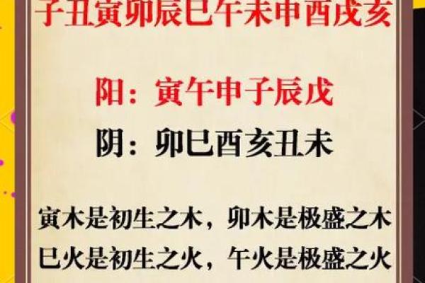 卯与五行的关系，专家为你解读