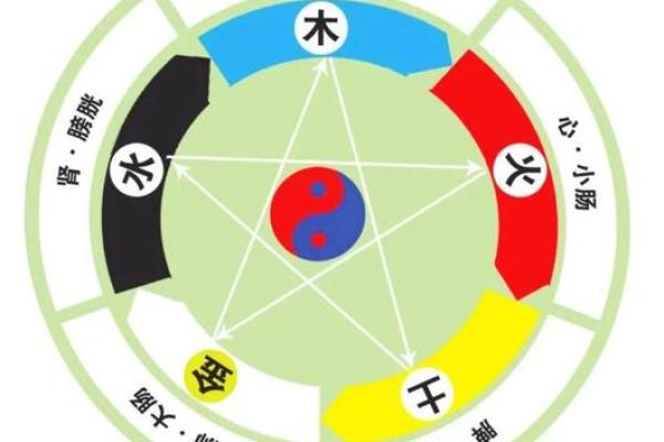 卯与五行的关系，专家为你解读