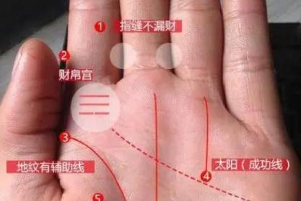 一指窥天机：揭秘手相中的财富密码