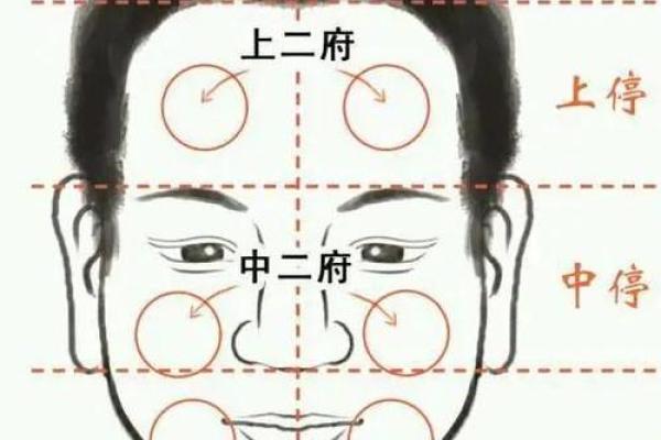 方脑福星：揭秘面相中的成功密码