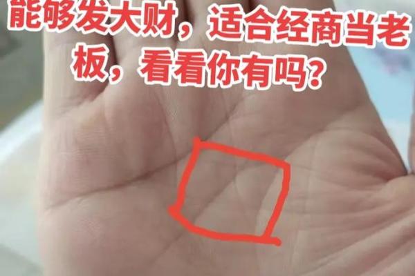 手相揭秘：财库满满，揭秘经商致富的秘密