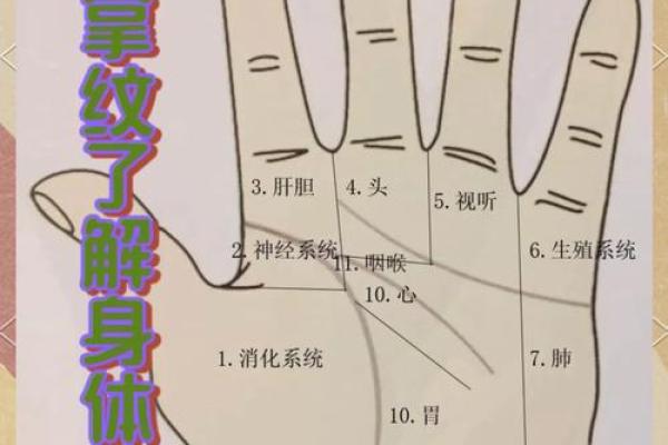 手相揭秘：你的意中人究竟何时降临？
