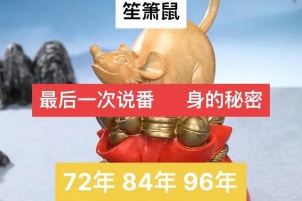双鼠命理预测：你是否走在好运的路上？