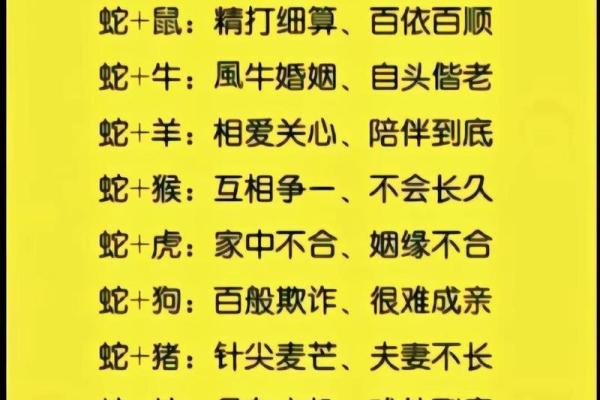马猴配对，婚姻相配还是相克？揭秘夫妻最佳搭配