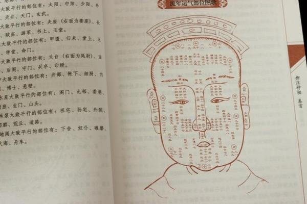 解码巨富面相：她是如何一眼看出财富命门的？