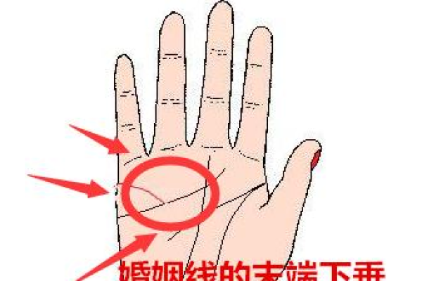手相揭秘：如何一眼看穿克夫命运，避开婚姻雷区