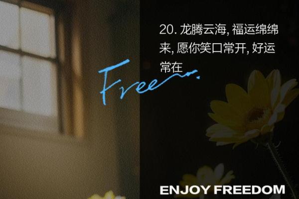 龙腾四海，佳偶天成