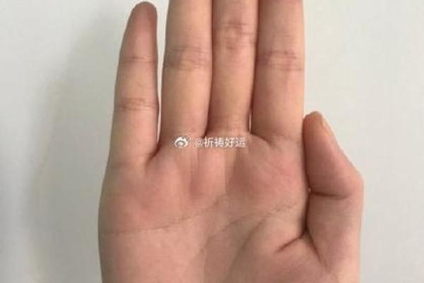 揭秘免费看手相竟是骗子的新骗局，你中招了吗？