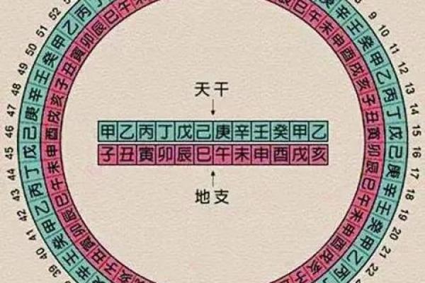 专家教你如何准确进行天干历查询