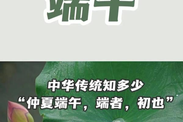 端午狂欢：揭秘传统习俗，探寻千年文化魅力