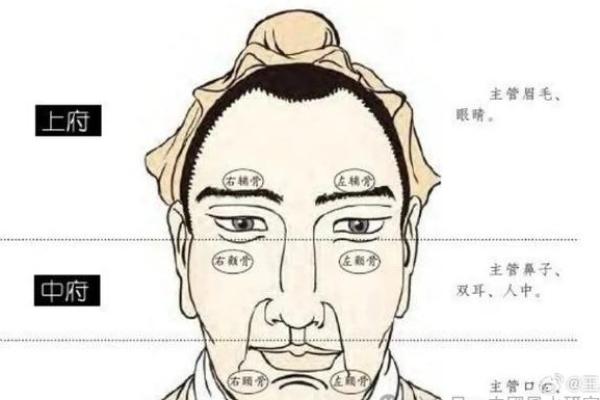 男明星面相揭秘：五官布局决定命运，谁才是下一个人生赢家？