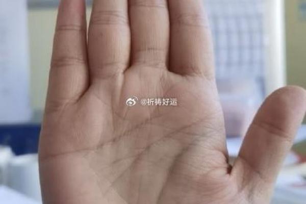 手相解锁命运之门：揭秘手相锁罗门之环的秘密