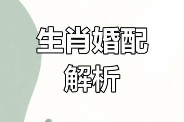 属猪的快来测测：你和马配吗？
