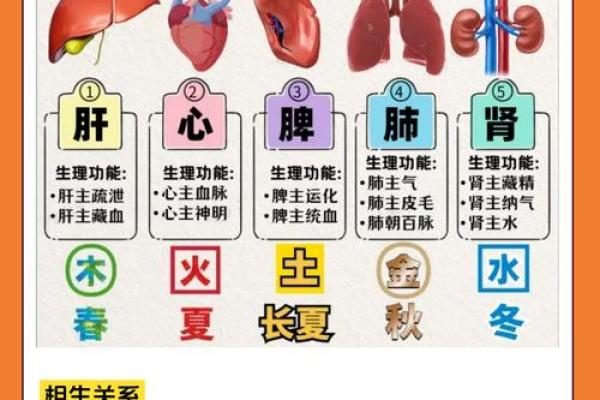 志在五行中的位置及意义