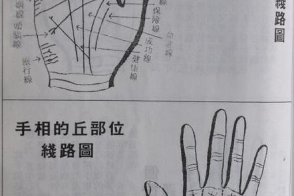 揭秘手相金星丘掌纹的秘密：乱纹预示着什么？必看