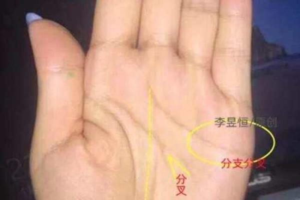 揭秘：这个年龄看手相最准确，错过了你就亏大了