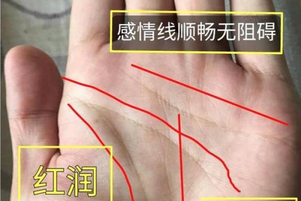 手相事业线深浅揭秘：深度解析命运起伏，揭秘你的人生巅峰