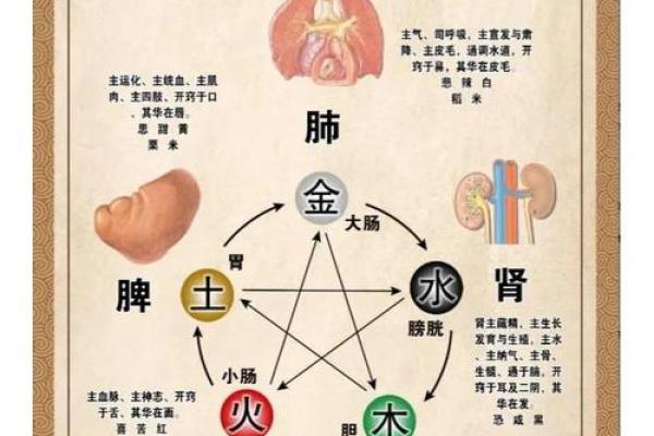探索道字五行归属 揭开神秘面纱