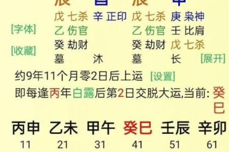 八字排盘大师邵伟华教你读懂命运密码