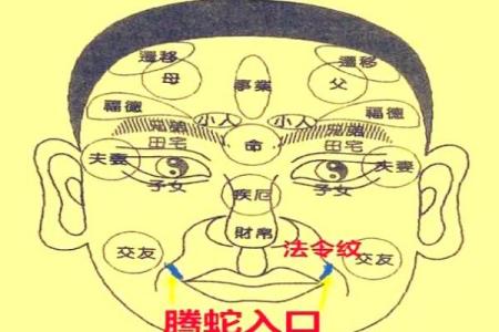 揭秘男嘴巴面相：读懂他的性格与命运