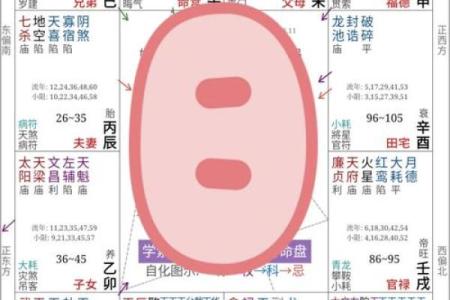 深度解析太飞排盘：你不知道的命运密码