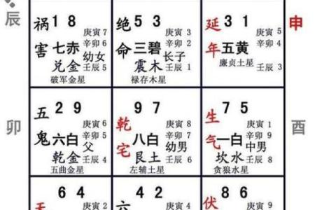 玄空飞星排盘实战教学：轻松预测未来趋势与运势