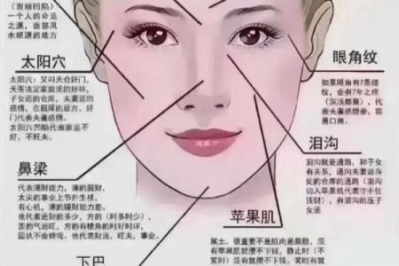 高鼻梁面相揭秘：揭秘成功人士的秘密武器