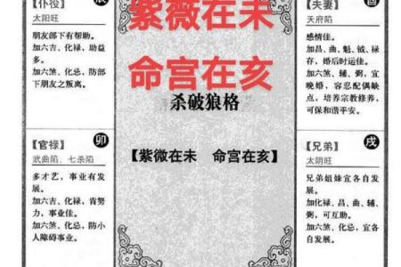 轻松掌握紫微斗数手工排盘表，洞察人生关键转折点