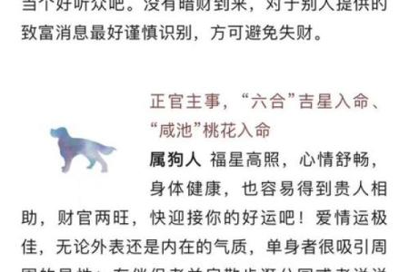 乙卯大溪水命理解析：如何引导财富与好运