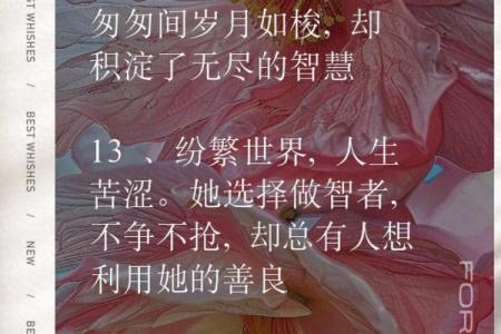 以柔克刚的女人命理揭秘：如何用智慧化解生活中的挑战