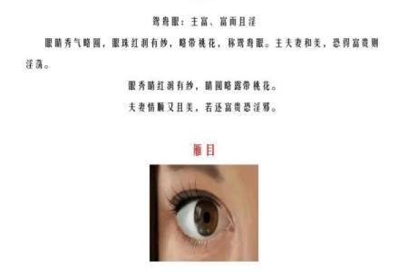 识人于面，一秒看透人心：揭秘面相奥秘