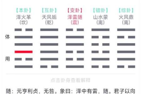 梅花易经八字排盘的深度解析，命运之谜一目了然