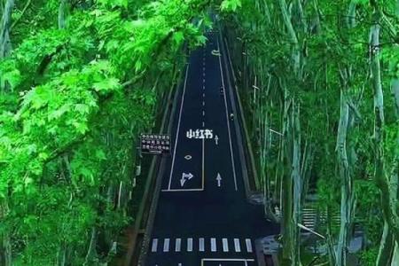 命中注定，爆款人生