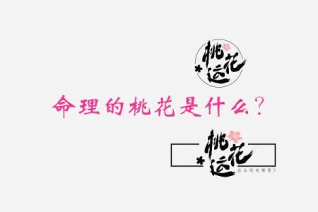 八字桃花旺的人生，如何让命运为你加分