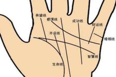 揭秘命运之手：手相中的命运密码