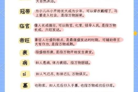 天干长生原理揭秘