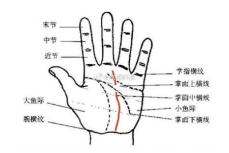揭秘三角纹手相，揭秘你的命运密码