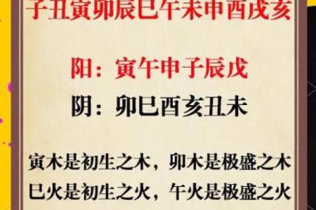 卯与五行的关系，专家为你解读