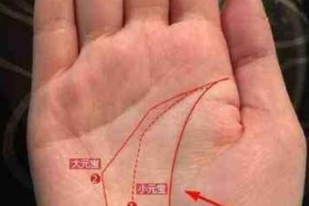 一指窥天机：揭秘手相中的财富密码