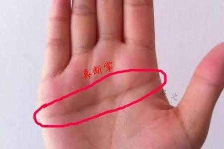 揭秘断掌之谜：手相中的隐藏命运密码，你了解多少？
