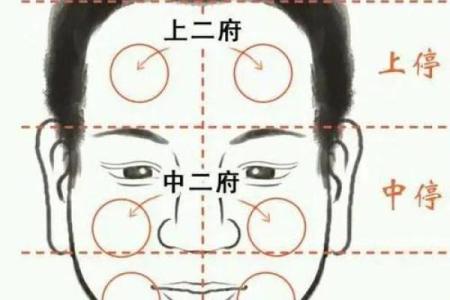 方脑福星：揭秘面相中的成功密码
