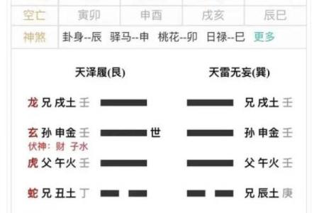 六爻卦祸害排盘揭秘：如何用卦象看清未来的风险？