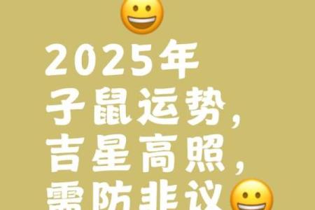 双鼠命理预测：你是否走在好运的路上？