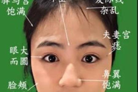 识人于面：揭秘面相学中的神秘密码